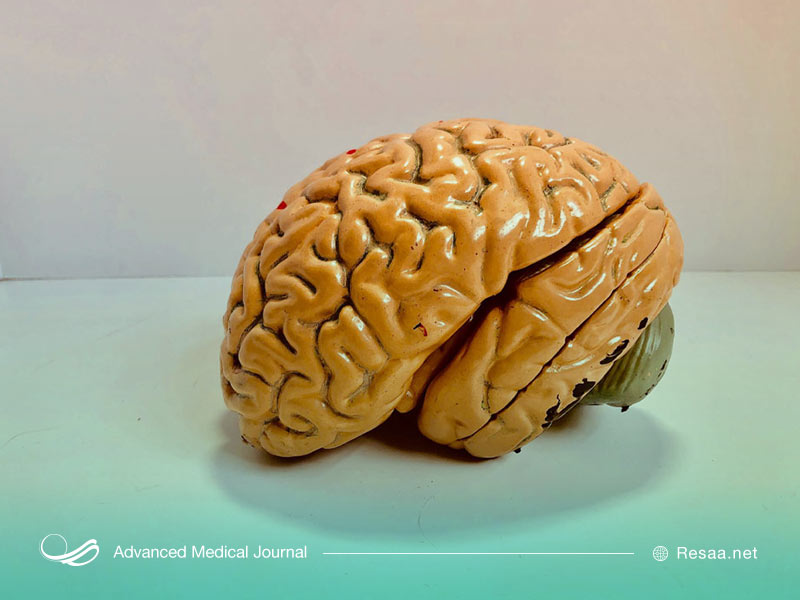 افرادی که دچار بیماری ایدز هستند بیشتر در معرض ابسه مغزی قرار دارند.