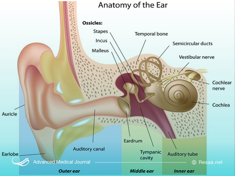 التهاب در گوش نتیجه ایجاد عفونت در گوش می‌باشد.