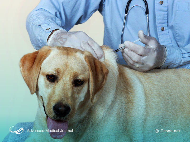 واکسن هاری در انستیتو تولید شد.