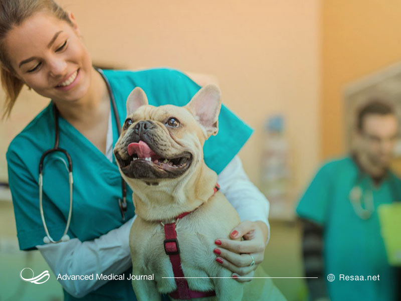 برخی عوامل خطر بیماری هاری را افزایش میدهند.