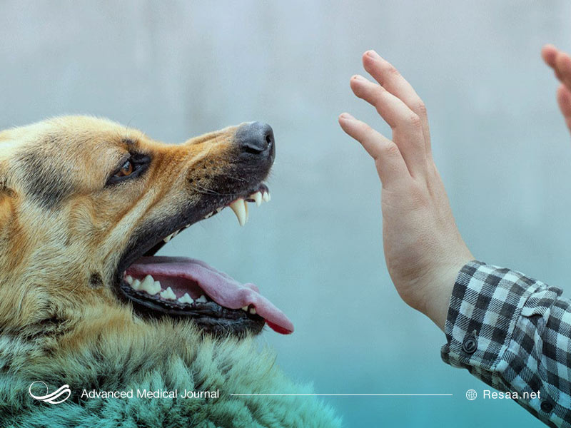 بیماری هاری توسط گاز گرفتن حیوان وحشی آلوده منتقل میشود.