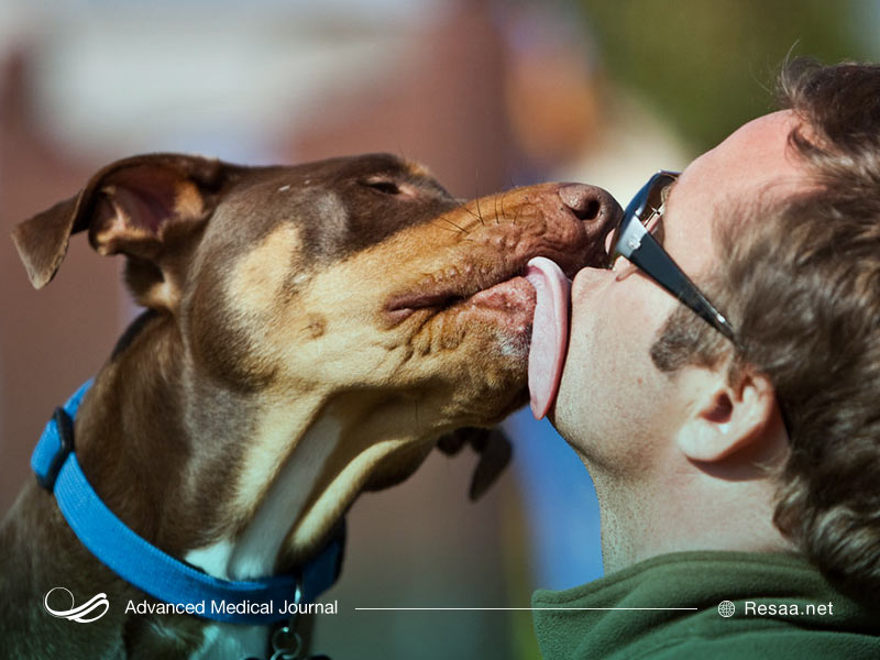 حیواناتی که در معرض حیوان وحشی آلوده قرار میگیرند باید تحت قرتطینه قرار بگیرند.