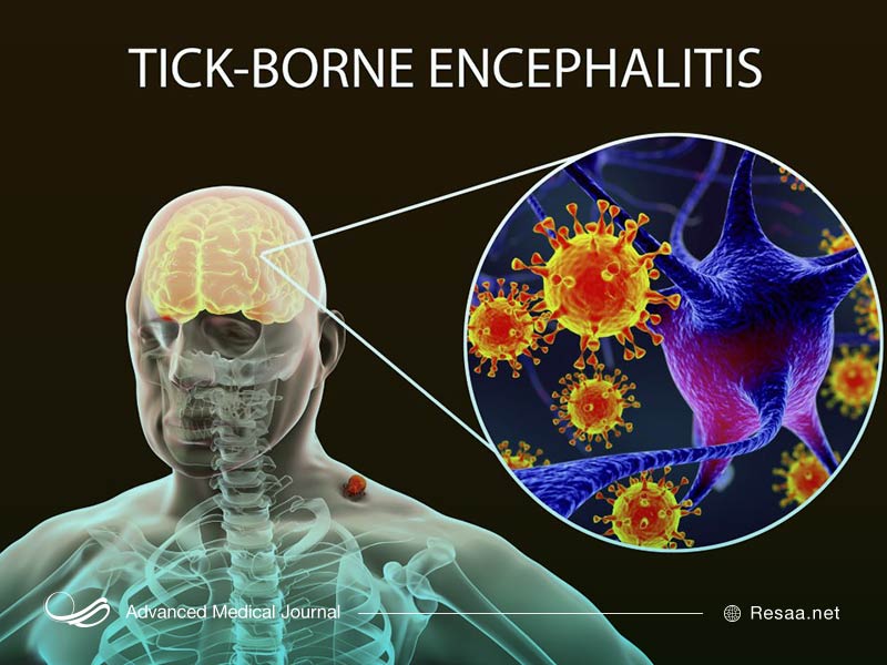 خود را در معرض گزش حشرات قرار ندهید.