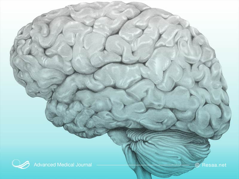 انسفالیت و گزش پشه و کنه