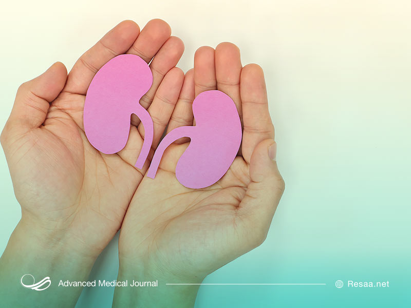 درمان های زایج برای کلیه اسفنجی