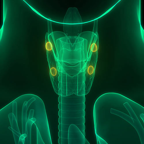 بیماری هایپرکلسمی بدخیم مزاجی را یشتر بشناسیم