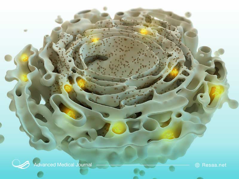 سندروم ولفرام نوعی بیماری ژنتیکی است.