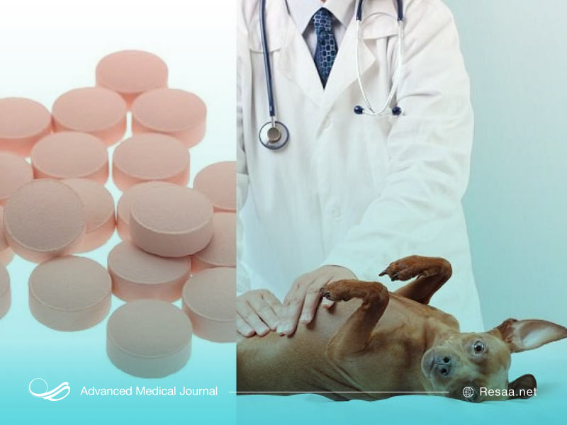 فاموتیدین چیست؟