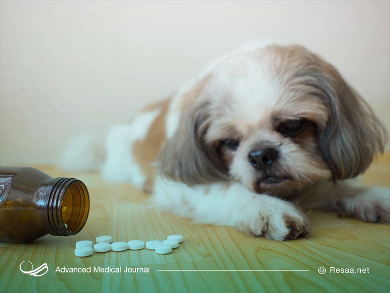 فاموتیدین را طبق دستور مصرف کنید