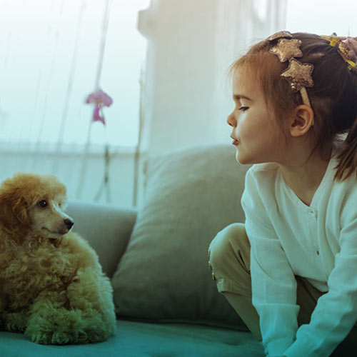 شپش-حیوانات