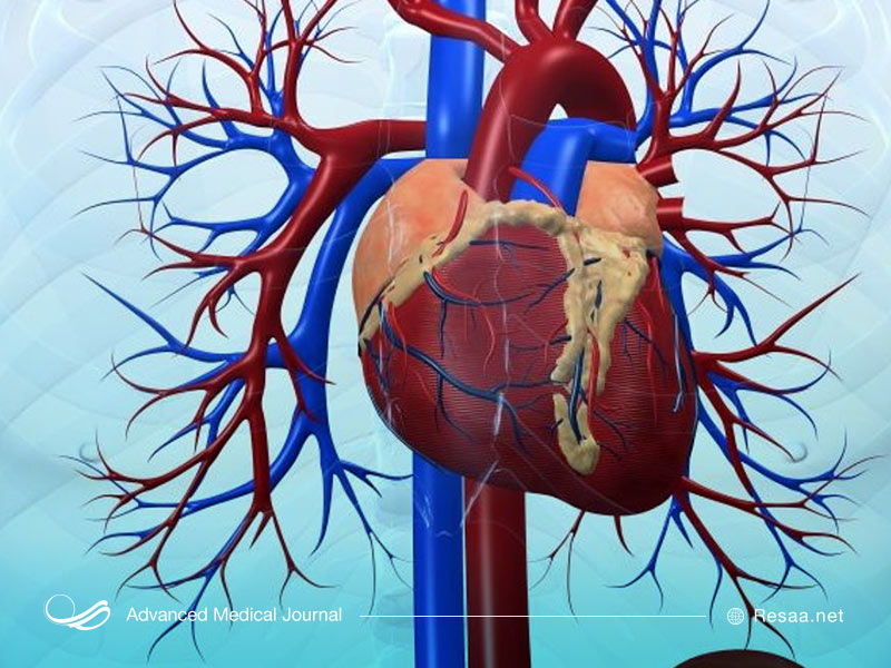 عروق کرونر قلب