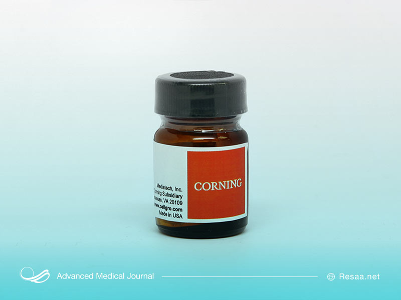 بارداری و شیردهی در زمان مصرف سیپروفلوکساسین