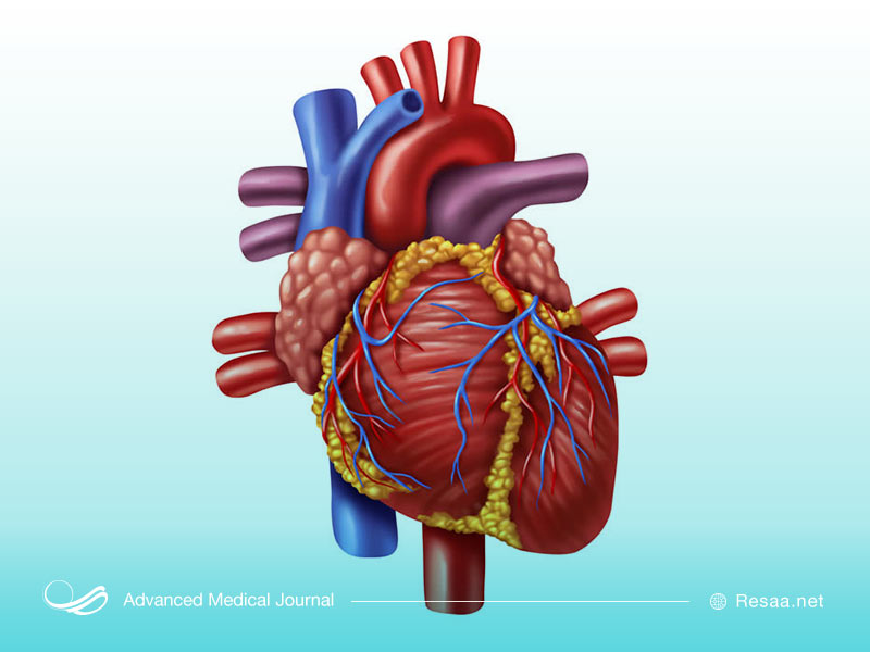 علائم بیماری عروق کرونر چیست؟
