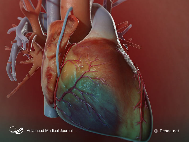 سیگار کشیدن چگونه بر بیماری عروق کرونر قلب تأثیر می‌گذارد؟